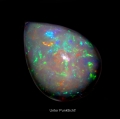 8.45 ct. Prächtiger weißer 19 x 14 mm Multi-Color Äthiopien Opal Tropfen