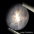 Bild 1 von 1.98 ct  Unbehandelter hellblauer 7.5 x 6.3 mm Ceylon Sternsaphir