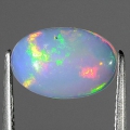 2.04 ct  Fantastischer unbeh. 13.4 x 8.8 mm Multi-Color Opal aus Yita Ridge