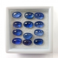 8.92 ct. 12 Stück ovale blaue 5.8 x 3.7 - 6.1 x 4.1 mm Nepal Cabochon Kyanite