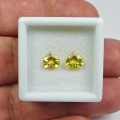 Bild 2 von 1.27 ct. Augenreines Paar Top Gelbe 6 mm Brasilien Goldberyll Edelsteine
