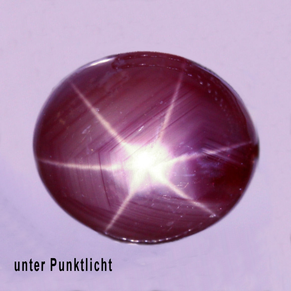 Bild 1 von 5.05 ct  Schöner  ovaler 10 x 8 mm Mosambik Sternrubin 