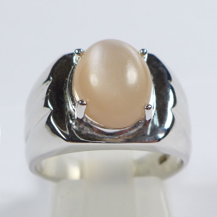 Bild 1 von Great 925 Silver Ring with oval India Moonstone, SZ 7.25 (Ø17.7 mm)