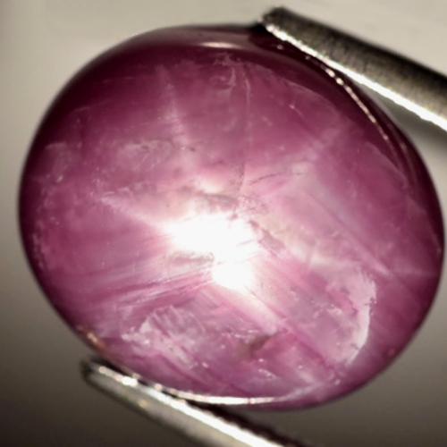 Bild 1 von 10.82 ct  Toller großer ovaler 12.5 x 10.7 mm Mosambik Sternrubin