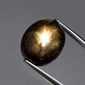 10.85ct Großer ovaler unerhitzter 14.5 x 11.8 mm Black Star Sternsaphir