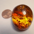 Bild 5 von 60.80 ct. Honiggelber ovaler 33 x 29 mm Ostsee Bernstein 