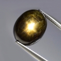 11.69 ct.  Großer ovaler 13.5 x 10.7 mm Bangkaja 6-Star Sternsaphir