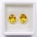 3.51 ct. VVS!  Edles Paar natürliche ovale Brasilien Goldberyll Edelsteine