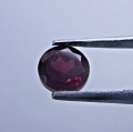 Bild 2 von 7.30 ct. 12 pieces noble Pink- Violet 5 mm Rhodolite Garnet Gems