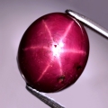 10.39 ct  Schöner großer ovaler 12 x 10.3 mm Mosambik Sternrubin 