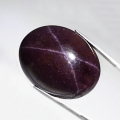 116.15 ct. Sehr RAR!! Riesiger ovaler 31.7 x 25.5 mm Rhodolith Stern Granat