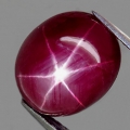 6.87ct Fine Dark Violet Red 11 x 9 mm Mozambique Star Ruby