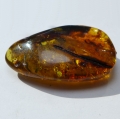 Bild 2 von 39.55 ct. Natural 43 x 26.5 mm Batic Sea Amber - drilled