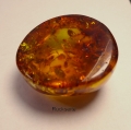 Bild 4 von 60.80 ct. Oval 33 x 29 mm Baltic Amber 
