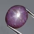 16.95 ct -RAR- Großer unbehandelter 14.5 x 12.3 mm Indischer 6- Star Stern Rubin