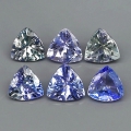 3.02 ct. 6 pieces fine 5.0- 5.5 mm Trilliant Tanzanite / Tanzanite Gemstones