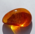 Bild 3 von 19.2 ct. Natural 30 x 19 mm Batic Sea Amber 