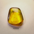 Bild 2 von 22.64 ct. Schöner 27 x 24 mm Bernstein 