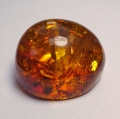 60.80 ct. Oval 33 x 29 mm Baltic Amber 