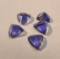 Bild 2 von 2.84 ct. 5 pieces of blue violet oval 11 x 8.6 Iolith - Trillant