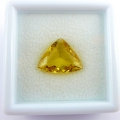 5.41 ct. Goldgelber 16.2 x 12.9 mm Brasilien Triangel Goldberyll