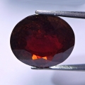 7.65 ct. Big red  oval 12.4 x 11.1 mm Rhodolithe  Garnet