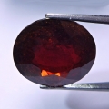 7.65 ct. Großer roter ovaler 12.4 x 11.1 mm Rhodolith Granat