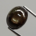 Bild 2 von 7.01 ct  Ovaler 11.3 x 9 mm Black- Star Sternsaphir mit schöner Sternbildung