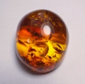 Bild 3 von 60.80 ct. Honiggelber ovaler 33 x 29 mm Ostsee Bernstein 