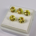 3.00 ct. VS / VVS  5 pieces round natural 5.5 mm Gold Beryl Gemstones