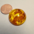 Bild 3 von 12.8 ct. Runder 22 mm Ostsee Bernstein