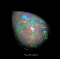 Bild 1 von 8.45 ct. Prächtiger weißer 19 x 14 mm Multi-Color Äthiopien Opal Tropfen