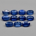 4.04 ct. 11 piece beautiful nat. Royal Blue Sri Lanka Kyanite Gems