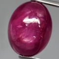 Bild 2 von 11.81 ct.  Sehr schöner ovaler 13.1 x 10.5 mm Afrika RED- STAR Stern Rubin