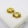 Bild 2 von 3.25 ct. IF! Lupenreines Pair of oval 8.2 x 6.8 mm Brazil Goldberyl gemstones