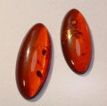 8.94 ct. Perfekt pair of oval 30 x 12 mm Batic Sea Amber Cabochons