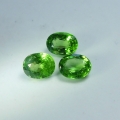 1.55 ct. 3 Stück ovale natürl. 5.5 x 4.5 mm Chrom Diopsid Edelsteine