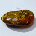 39.55 ct. Natural 43 x 26.5 mm Batic Sea Amber - drilled