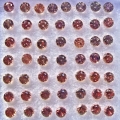 1.5 ct.  50 orange red round  1.7  mm Tansania Sapphires