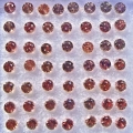 1.5 ct.  50 orange red round  1.7  mm Tansania Sapphires