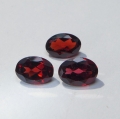 2.75 ct. 3 beatiful red 7 x 5 mm Pyrop Garnet Gemstones