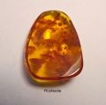 Bild 2 von 24.57 ct. Klasse 36 x 26 mm Ostsee Bernstein 