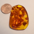 Bild 3 von 24.57 ct. Klasse 36 x 26 mm Ostsee Bernstein 