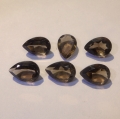 Bild 1 von 10.82 ct . 6 Stück augenreine 10 x 7 mm Rauchquarz Tropfen