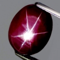 7.76 ct Very Beautiful Dark Violet Red 12 x 9.4 mm Mozambique 6 Ray Star Ruby