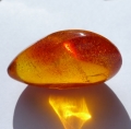 Bild 4 von 19.2 ct. Natural 30 x 19 mm Batic Sea Amber 