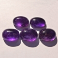 68.43 ct. 5 Stück große ovale 18 x 13 mm Brasilien Amethyst Cabochons