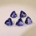 2.84 ct. 5 pieces of blue violet oval 11 x 8.6 Iolith - Trillant
