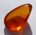 Bild 6 von 19.2ct. Natürlicher 30 x 19 mm Ostsee-Bernstein 