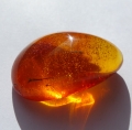 Bild 2 von 19.2ct. Natürlicher 30 x 19 mm Ostsee-Bernstein 